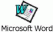 MS Word Icon